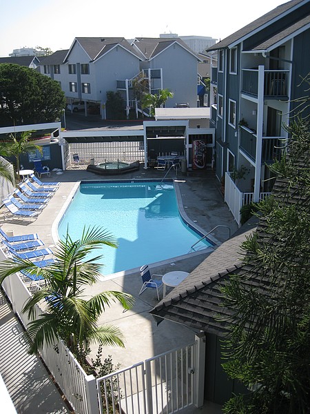 Community pool and spa with lounge chairs and palm trees